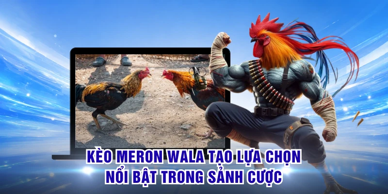 Kèo Meron Wala tạo lựa chọn nổi bật trong sảnh cược